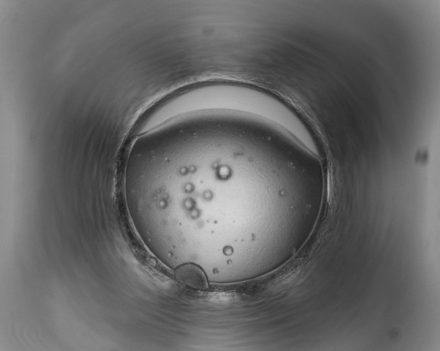 X0000115010204200911091428