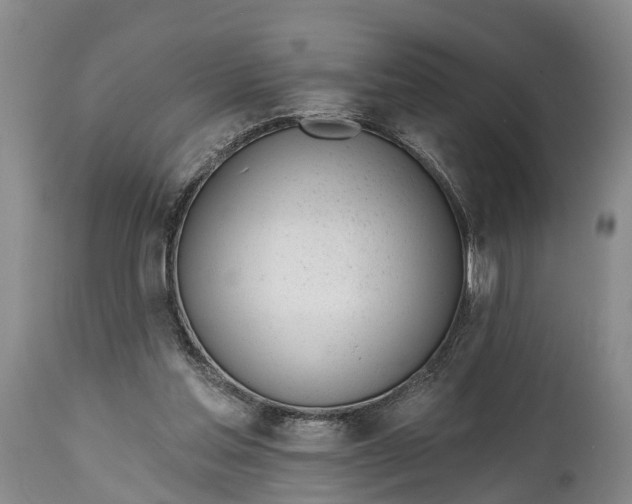 X0000115010205200911091428