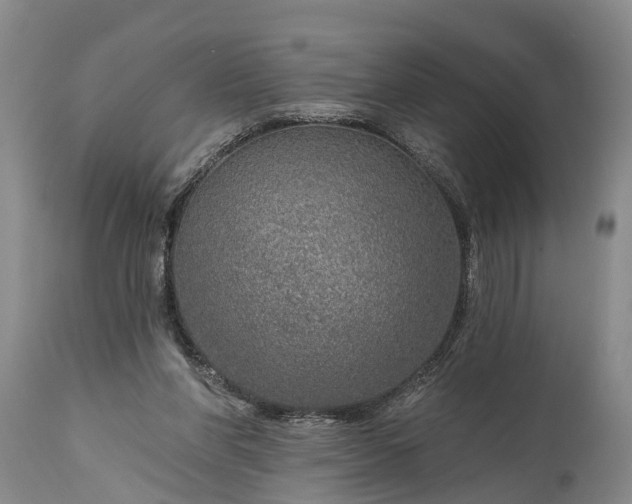 X0000115010206200911091428