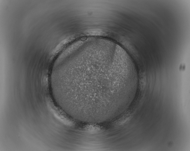 X0000115010207200911091428