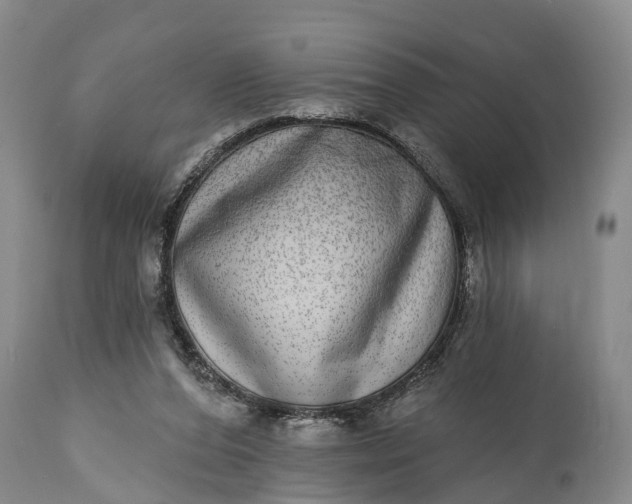 X0000115010208200911091428