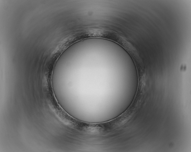 X0000115010209200911091428