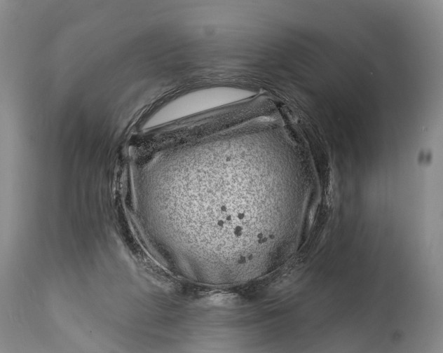 X0000115010210200911091428