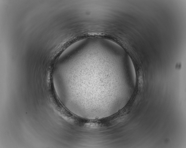 X0000115010211200911091428