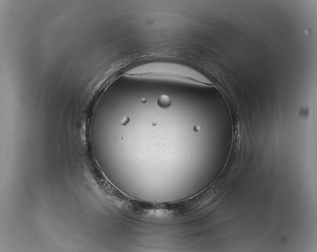 X0000115010212200911091428