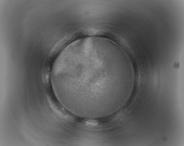 X0000115010214200911091428