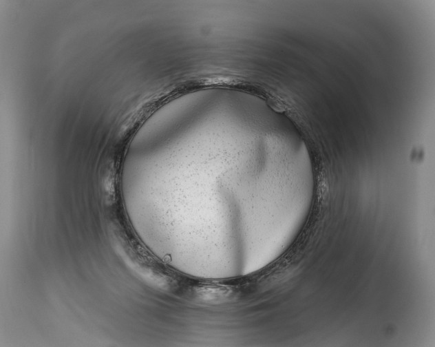 X0000115010215200911091428
