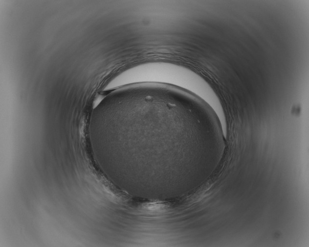 X0000115010219200911091428