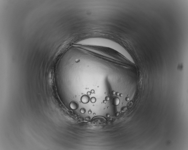 X0000115010220200911091428