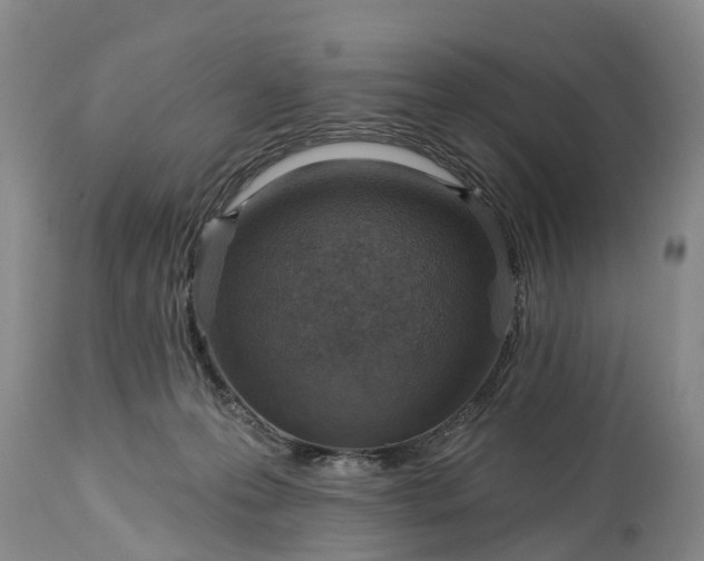 X0000115010223200911091428