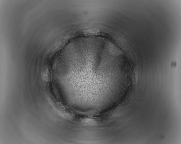 X0000115010224200911091428