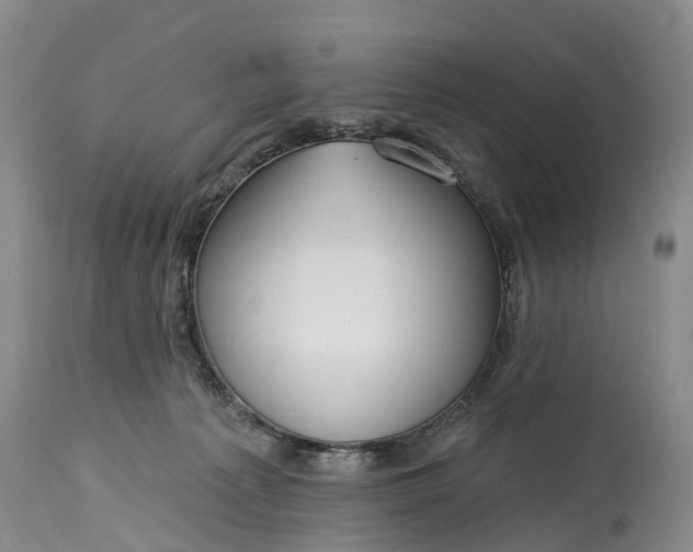 X0000115010225200911091428