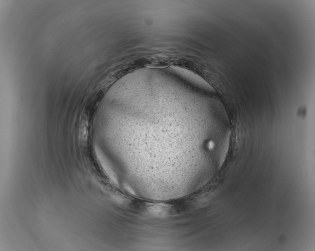X0000115010226200911091428