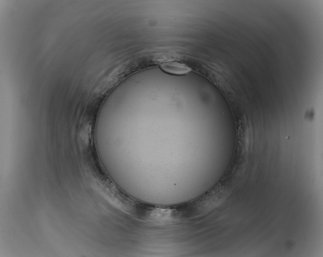 X0000115010227200911091428