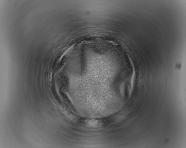 X0000115010230200911091428