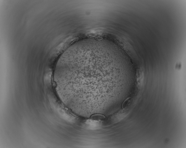 X0000115010231200911091427
