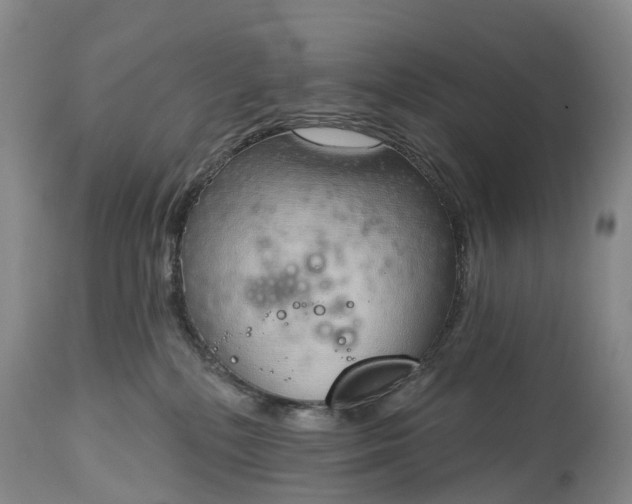 X0000115010232200911091427