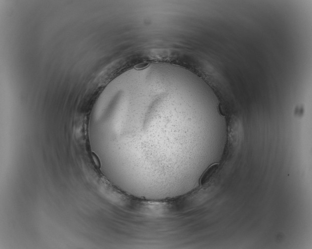 X0000115010233200911091427