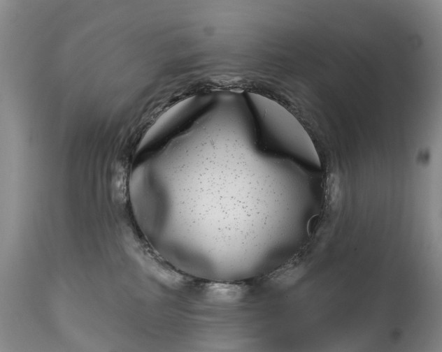 X0000115010234200911091427