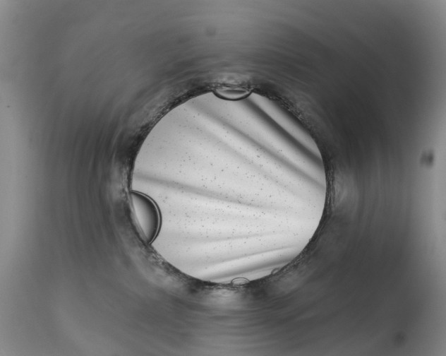 X0000115010236200911091427