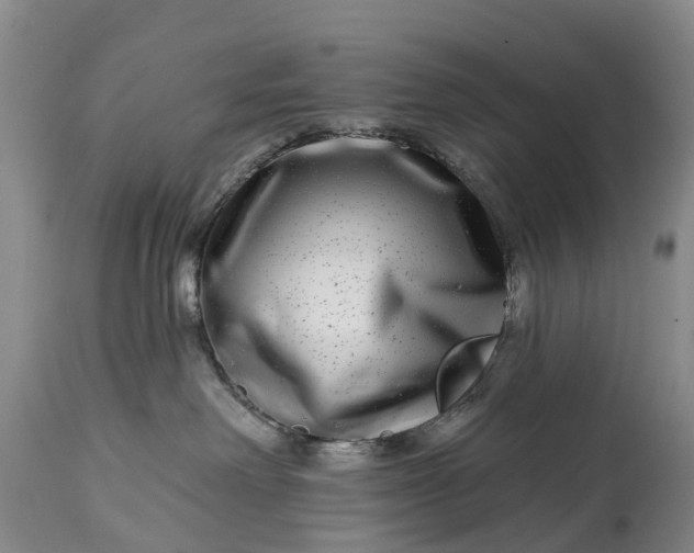 X0000115010238200911091427
