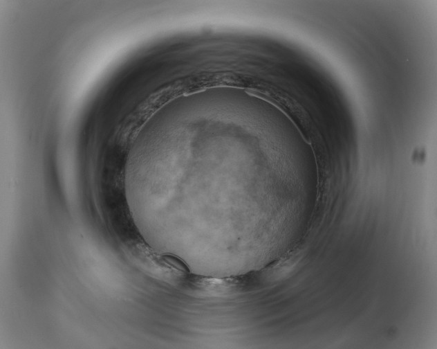 X0000115010239200911091427