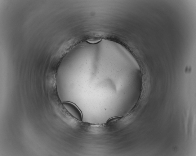 X0000115010240200911091427