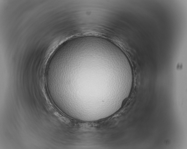 X0000115010241200911091427