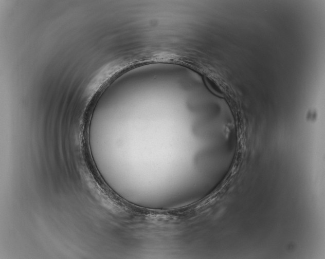 X0000115010242200911091427