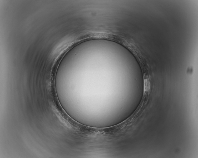 X0000115010243200911091427