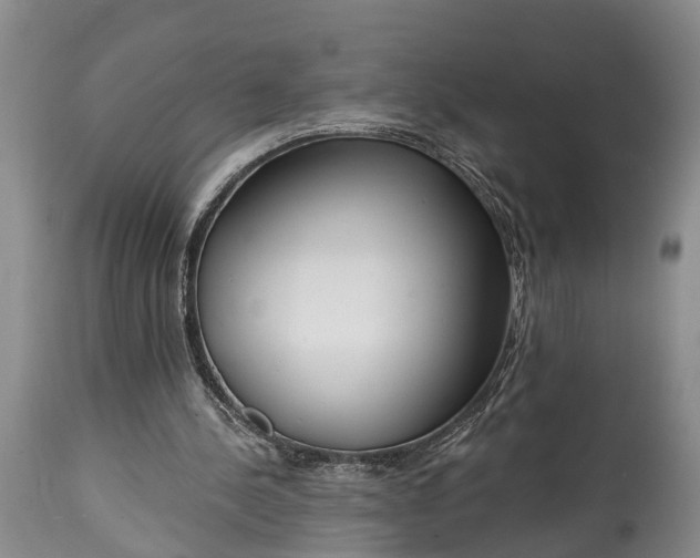 X0000115010244200911091427