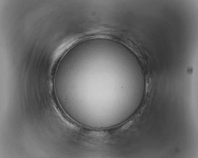 X0000115010245200911091427