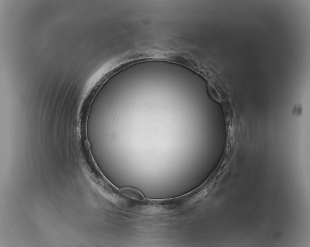 X0000115010246200911091427