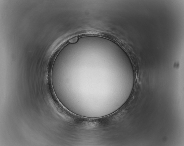 X0000115010247200911091427