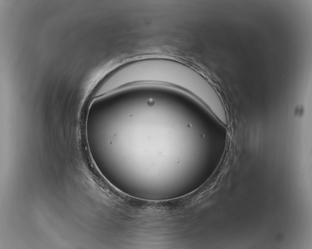 X0000115010248200911091427