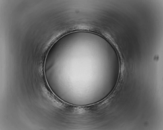 X0000115010249200911091427