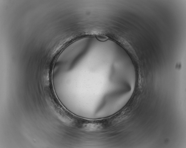 X0000115010251200911091427