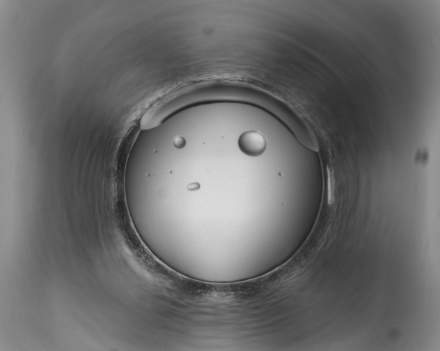 X0000115010252200911091427