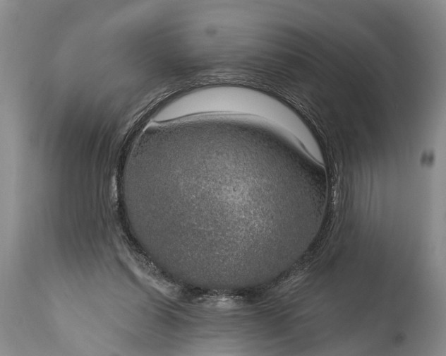 X0000115010254200911091427