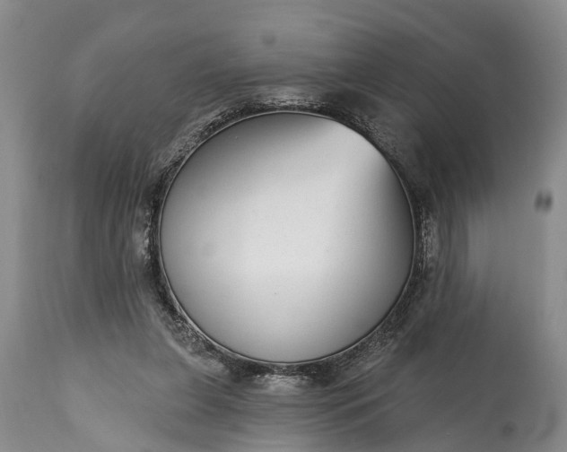 X0000115010255200911091427