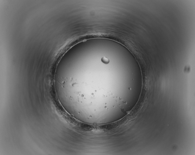 X0000115010256200911091427