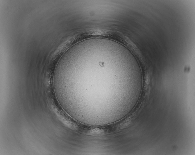 X0000115010257200911091427
