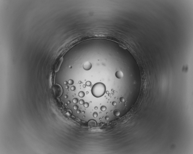 X0000115010262200911091427