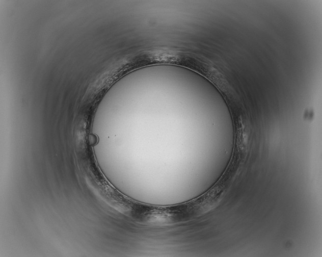 X0000115010263200911091427