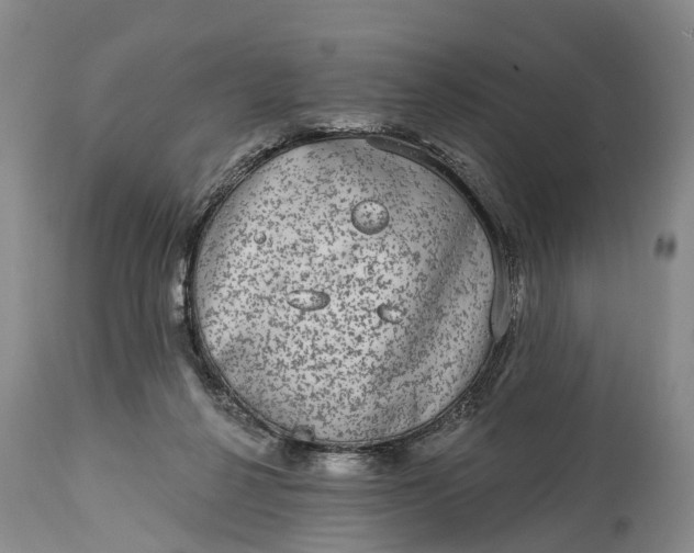 X0000115010264200911091427