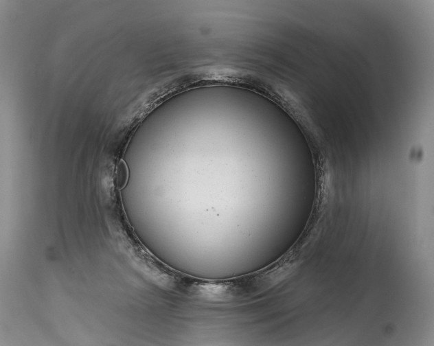 X0000115010265200911091427