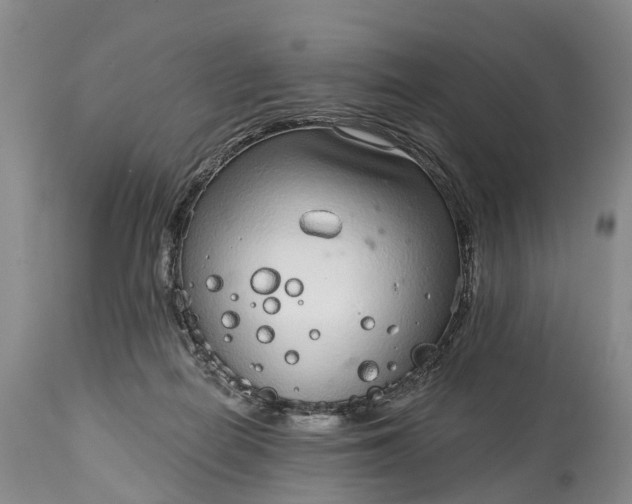 X0000115010266200911091427