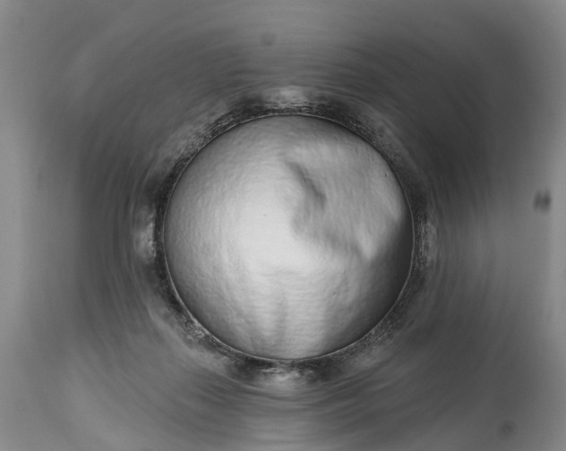 X0000115010267200911091427