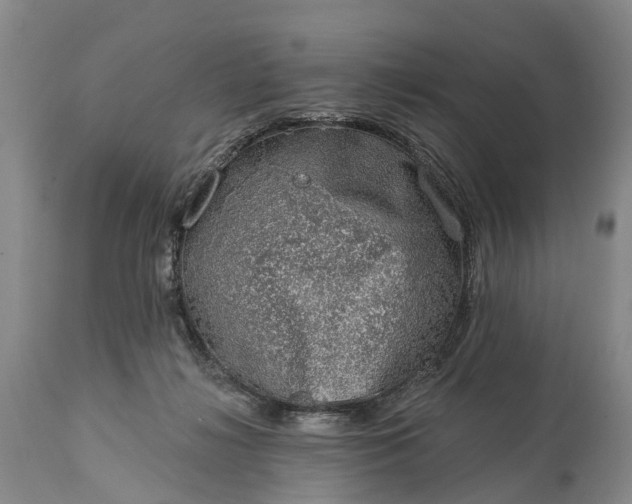 X0000115010268200911091427