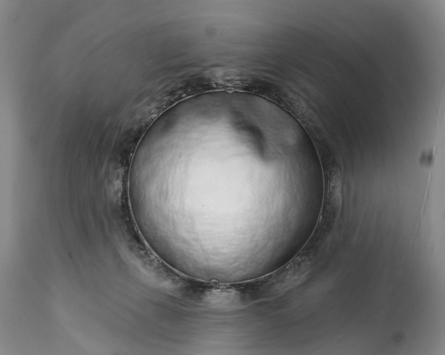 X0000115010271200911091427